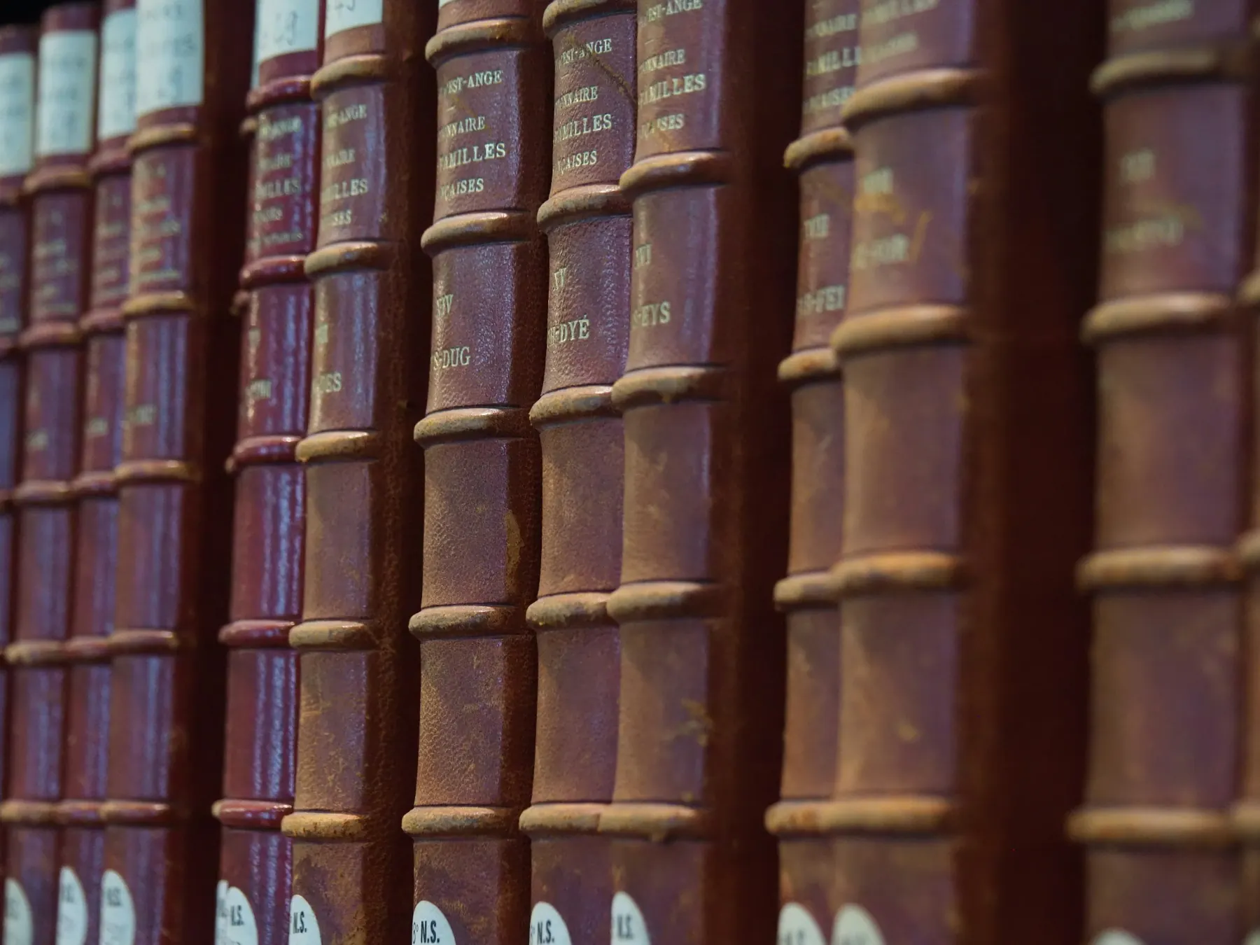 Libros antiguos en una estantería